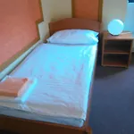 Pensión U Madony 3*